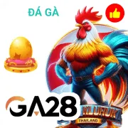 8day Casino Trực Tiếp Đa Dạng Hơn 40 bàn chơi với dealer thật, phát sóng HD từ studio